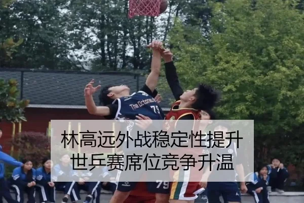 林高远外战稳定性提升 世乒赛席位竞争升温